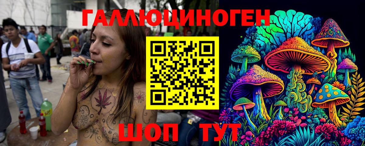 Галлюциногенные грибы Psilocybine cubensis  Псилоцибиновые грибы Cubensis  Ахтубинск  Вход с VPN 